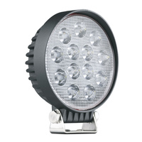 39 Watt 13 LED Round Flood Lamp